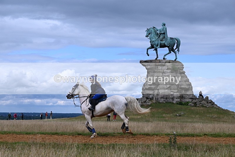 DSC_8823 - Time at Statue 14:33 to 15:10