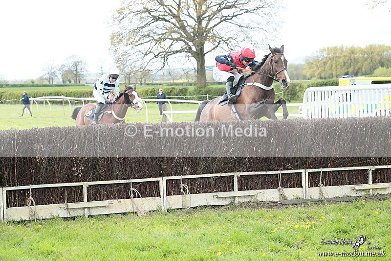 PtP 180426 546 - Worcestershire Hunt PtP Chaddesley Corbett 18/04/26