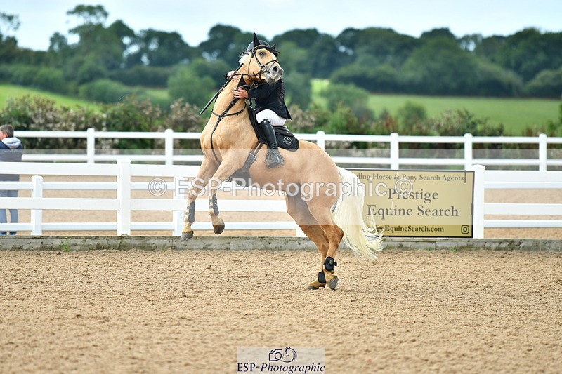 230813A-104328-11526 - Cls 40 A&B Senior Discovery & 1m Open