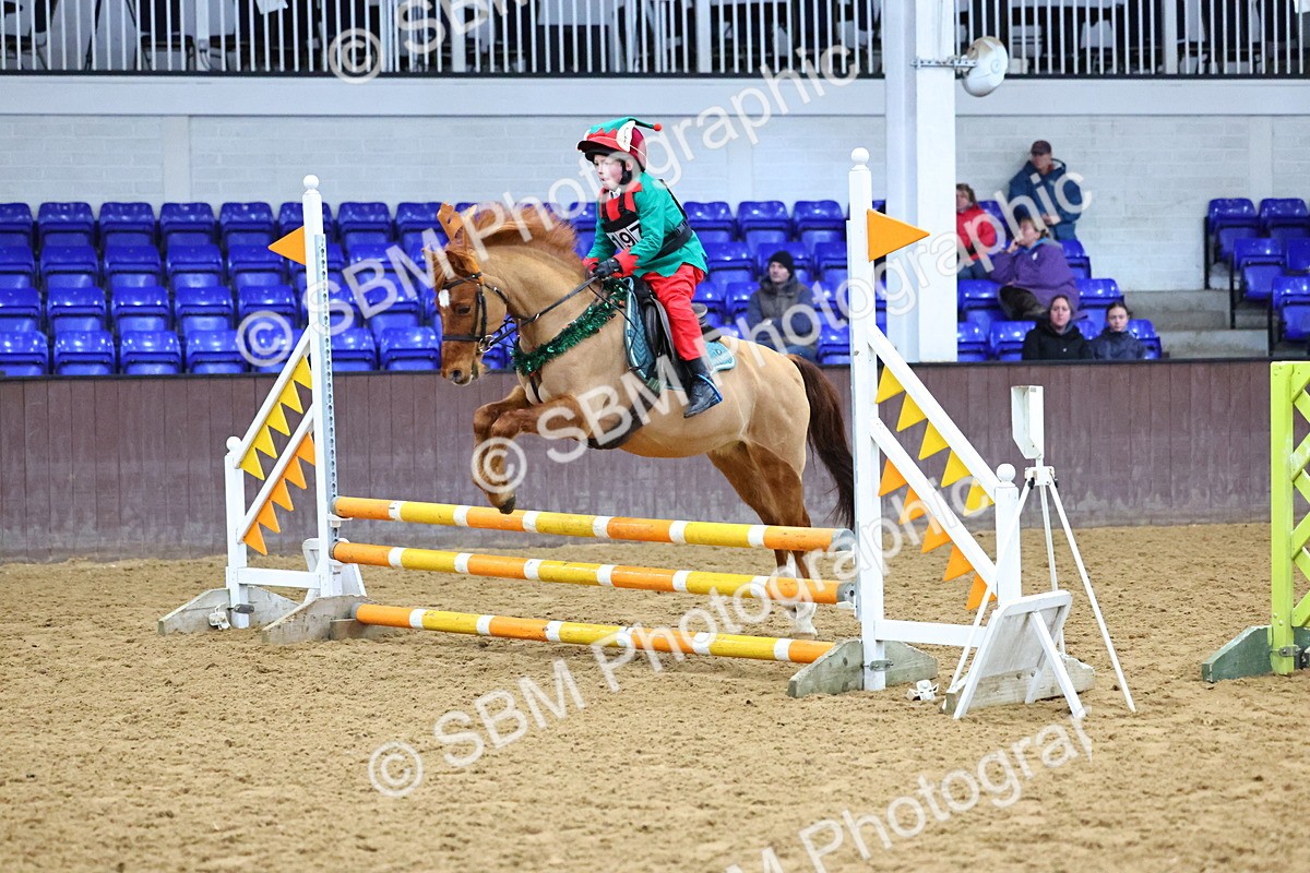 SBM_001368 - Class 3 - Christmas Tree Stakes - 60cm