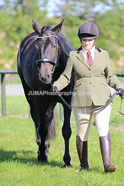 SIAL5686 - Ring 1 & 3