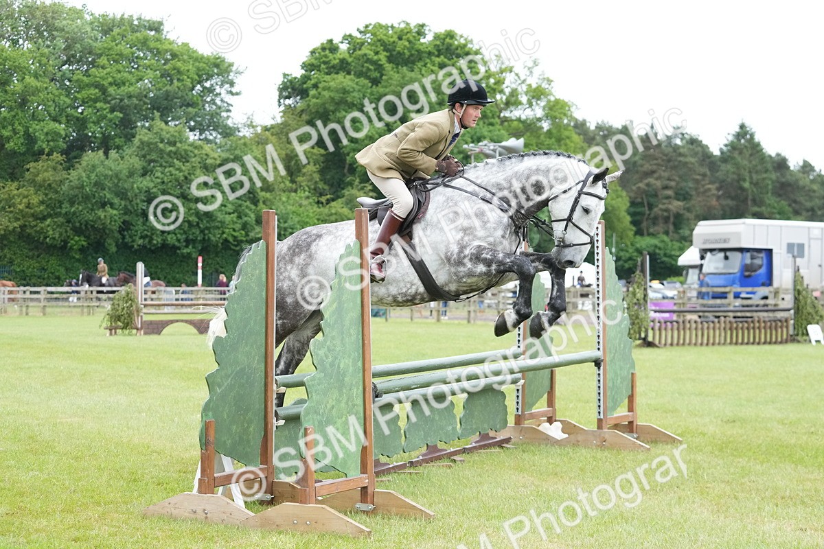 SBM_12610 - Class 97-98 - LIHS BSHA Rising Star Working Show Horse Hunter