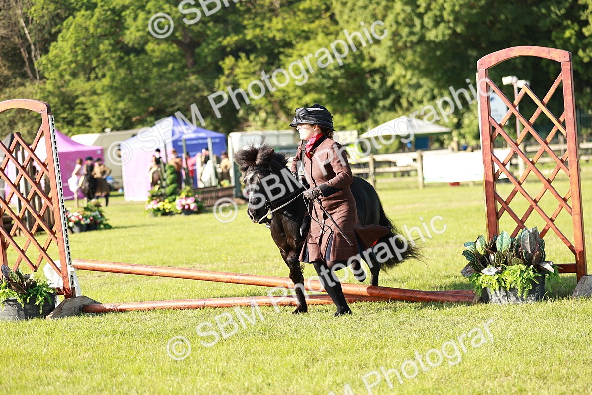 SBM_11113 - Class 106-107 - BSPS LIHS Working Sports Pony