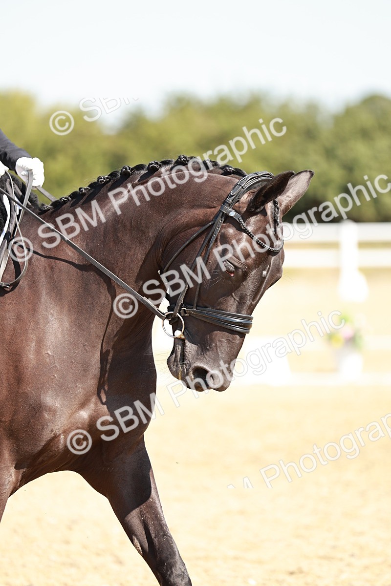SBM_017416 - Class 10 - N5 Silver 10.43.11.29