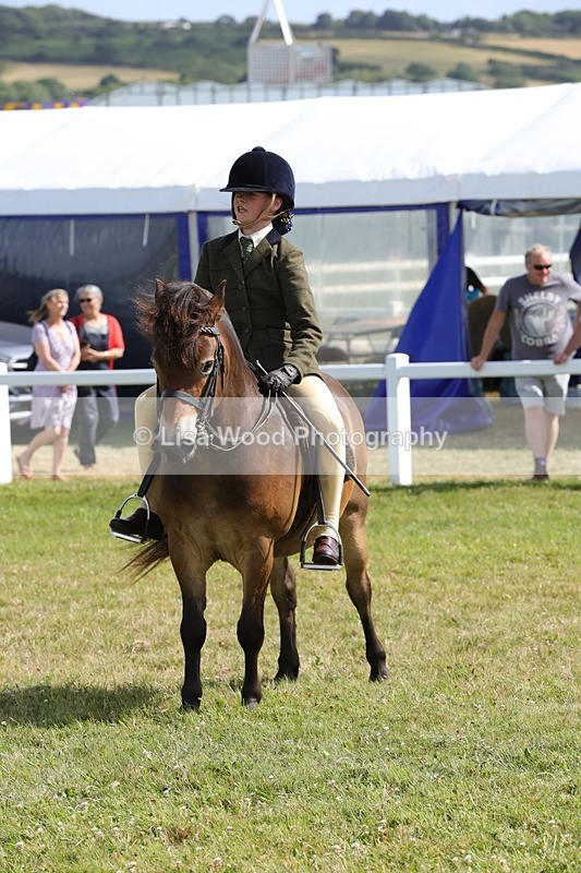 1X9A5612 - Class 39: NPS Dartmoor, Exmoor, Shetland