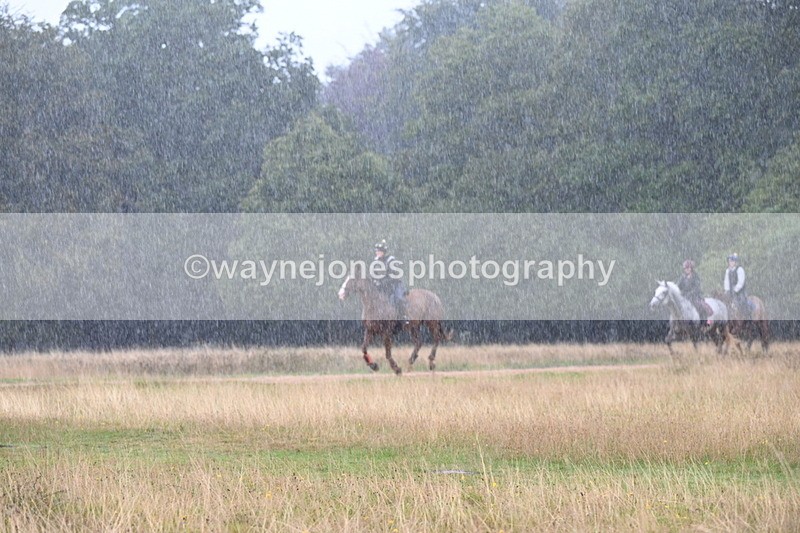 DSC_3100 - Time at Statue 12:59 to 13:49
