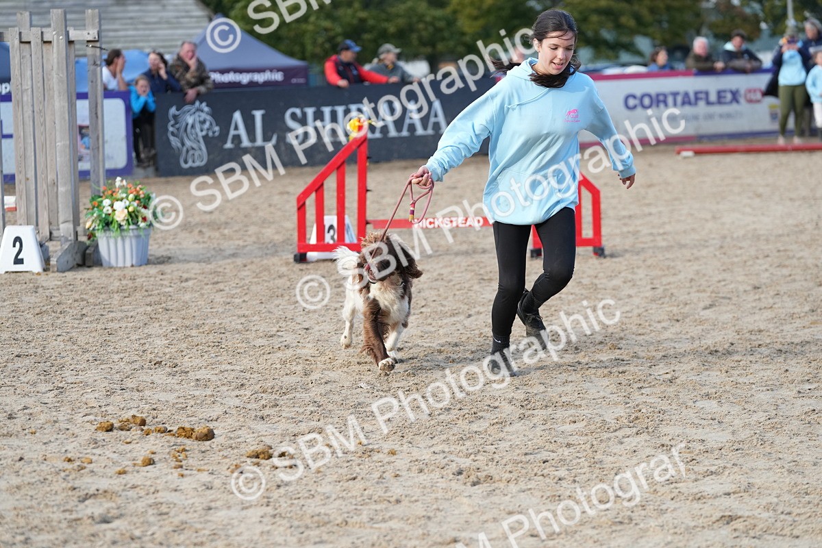 SBM_29161 - J43 - Horse & Hound Open 50cm