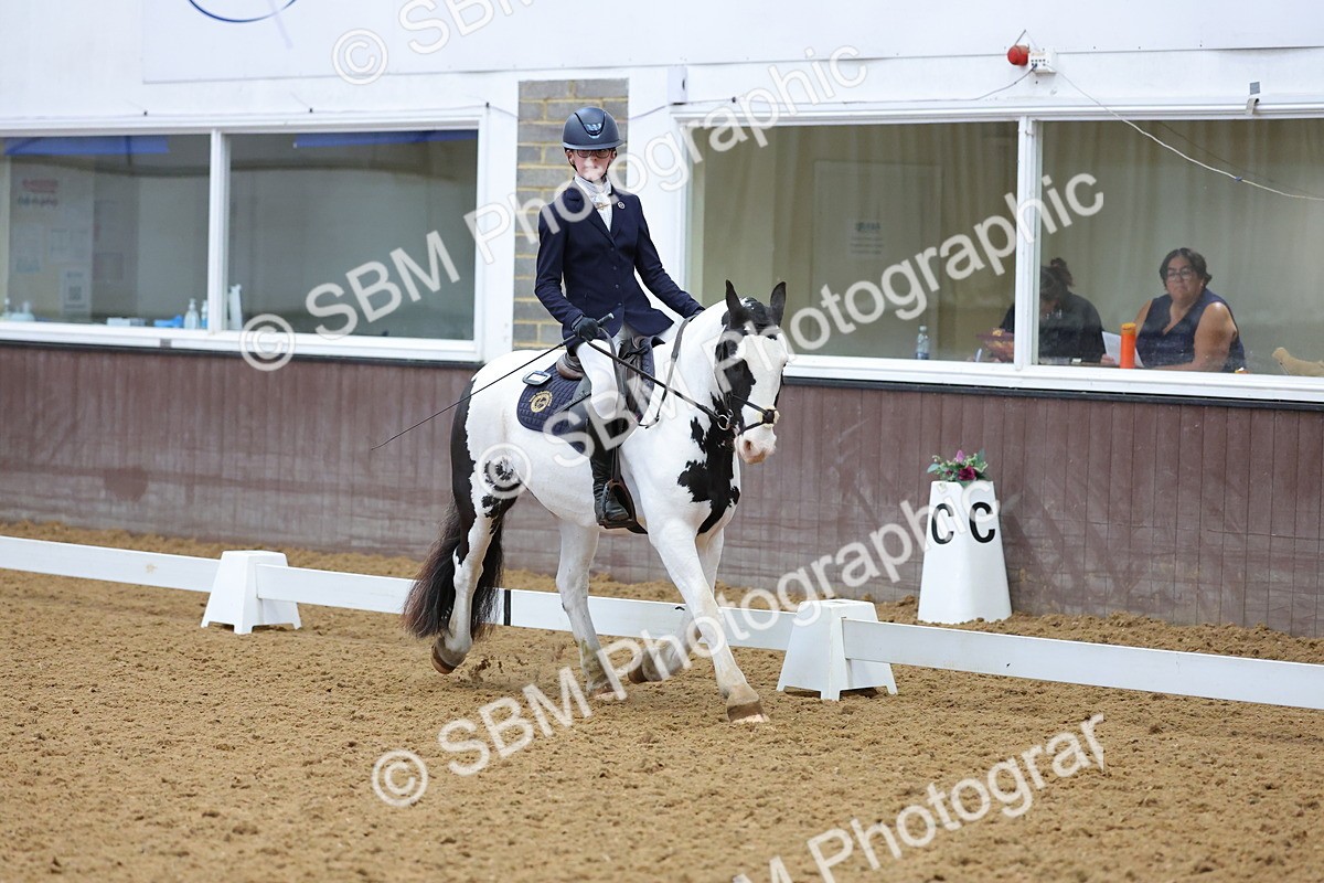SBM_003082 - Novice