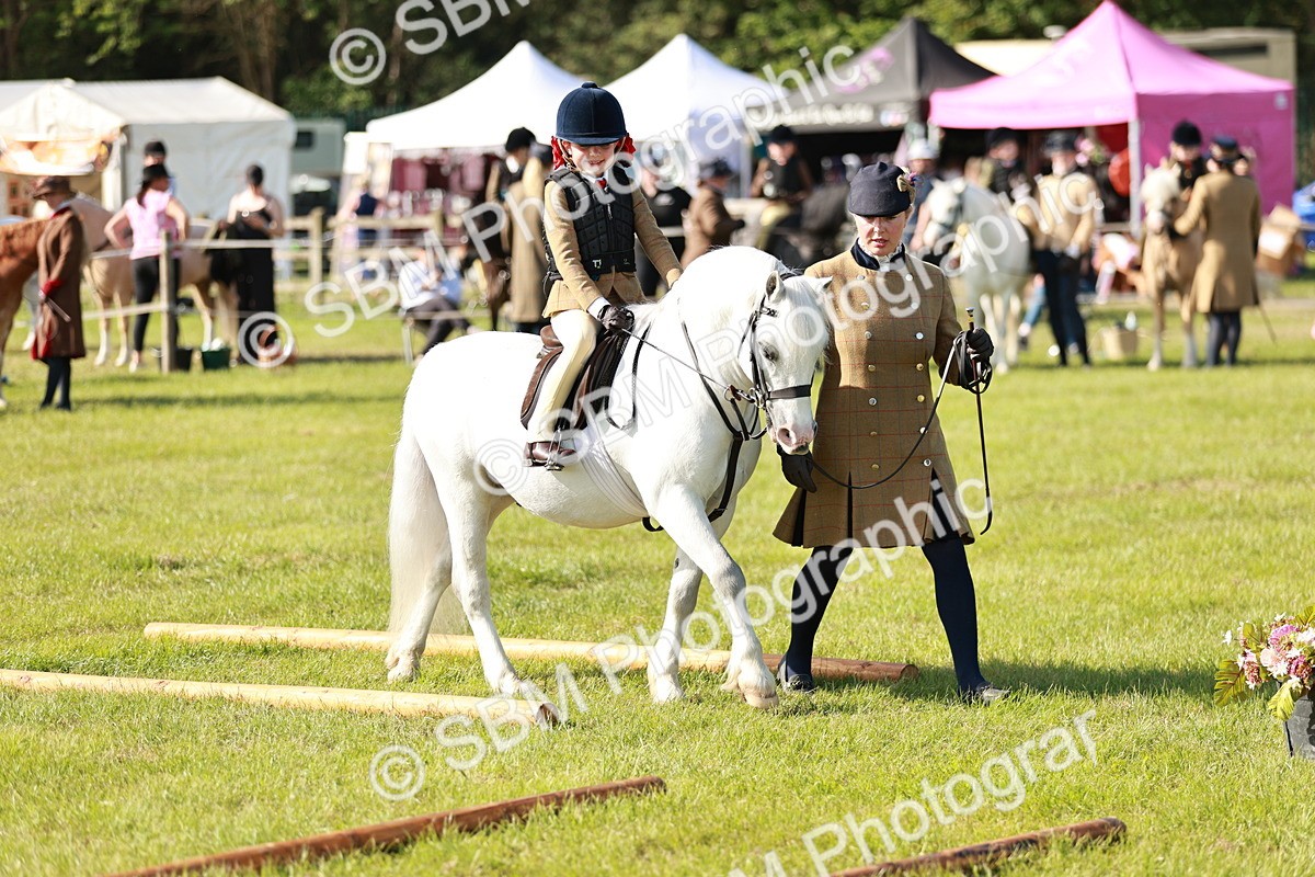 SBM_11296 - Class 106-107 - BSPS LIHS Working Sports Pony