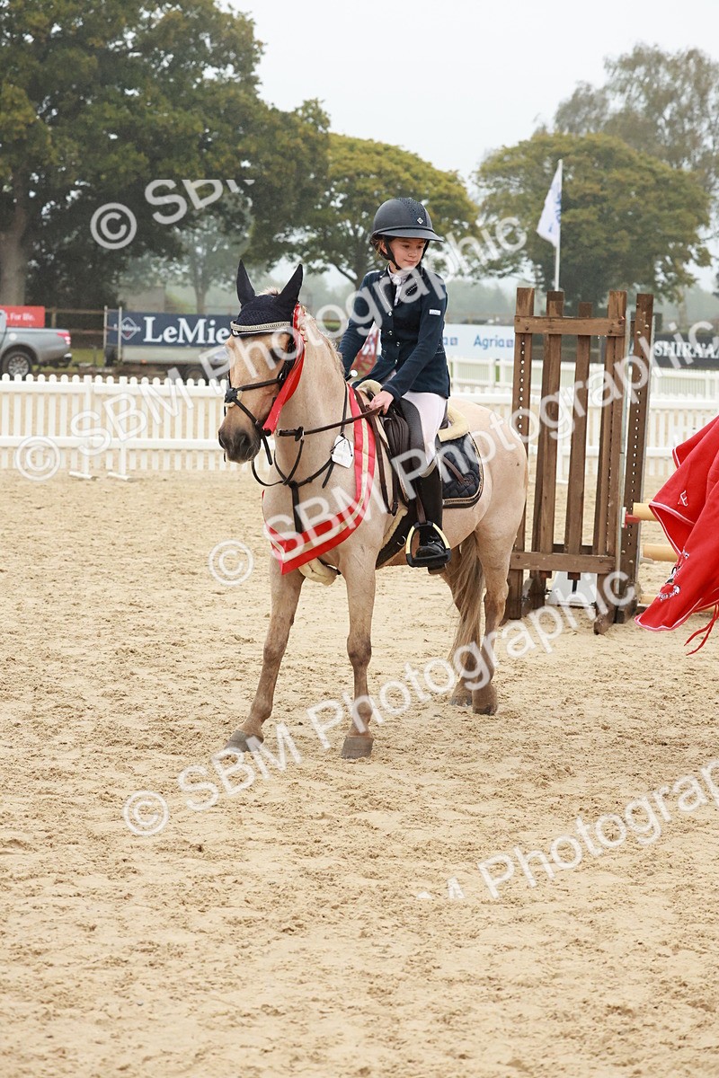 SBM_73510 - Supreme Championship Junior Pony 60cm & 65cm