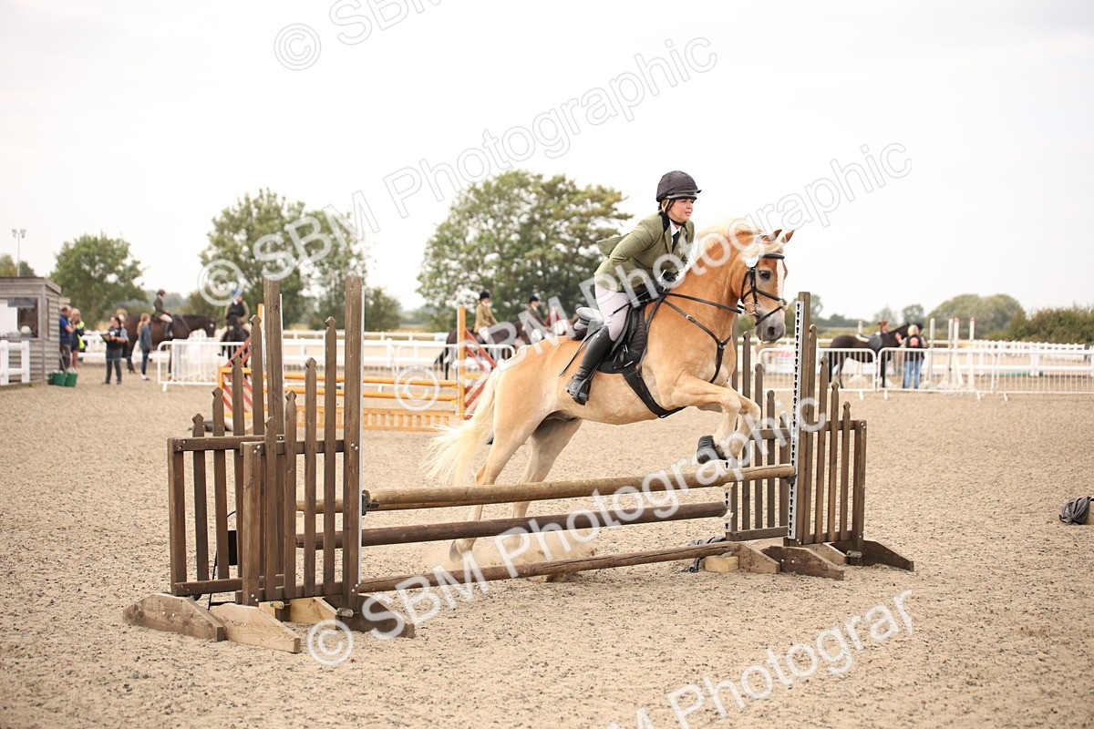 SBM_16169 - Class 409a - Working Veteran 80cm (15-19)