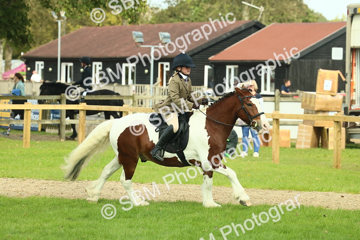 SBM_68845 - S58 - Mini Show Cob Ridden