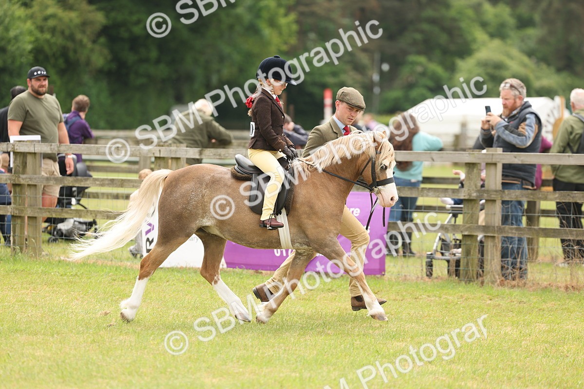 SBM_06643 - Class 74-75 - M&M Lead Rein and First Ridden Pony
