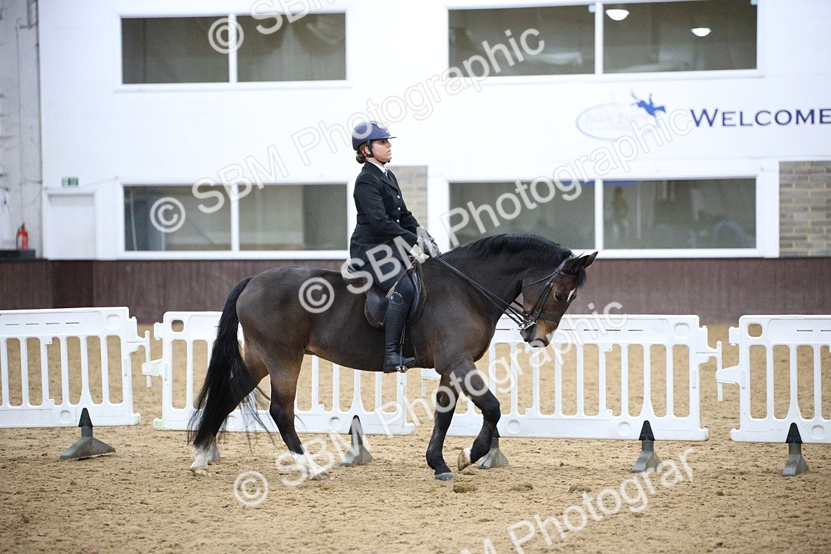 5K7A6067 - Class 48 - Ridden Mare