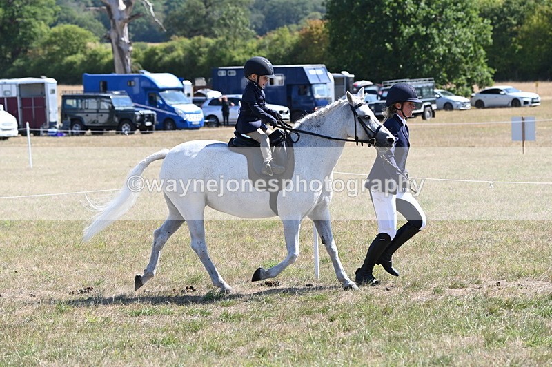 WJ6_7768 - Class 36 Lead Rein