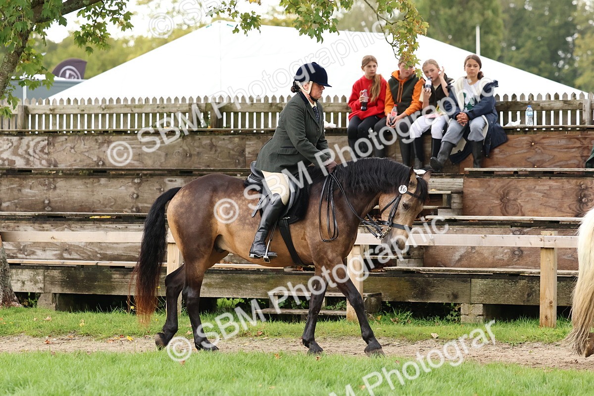 SBM_44921 - S27 - Young Veteran Ridden
