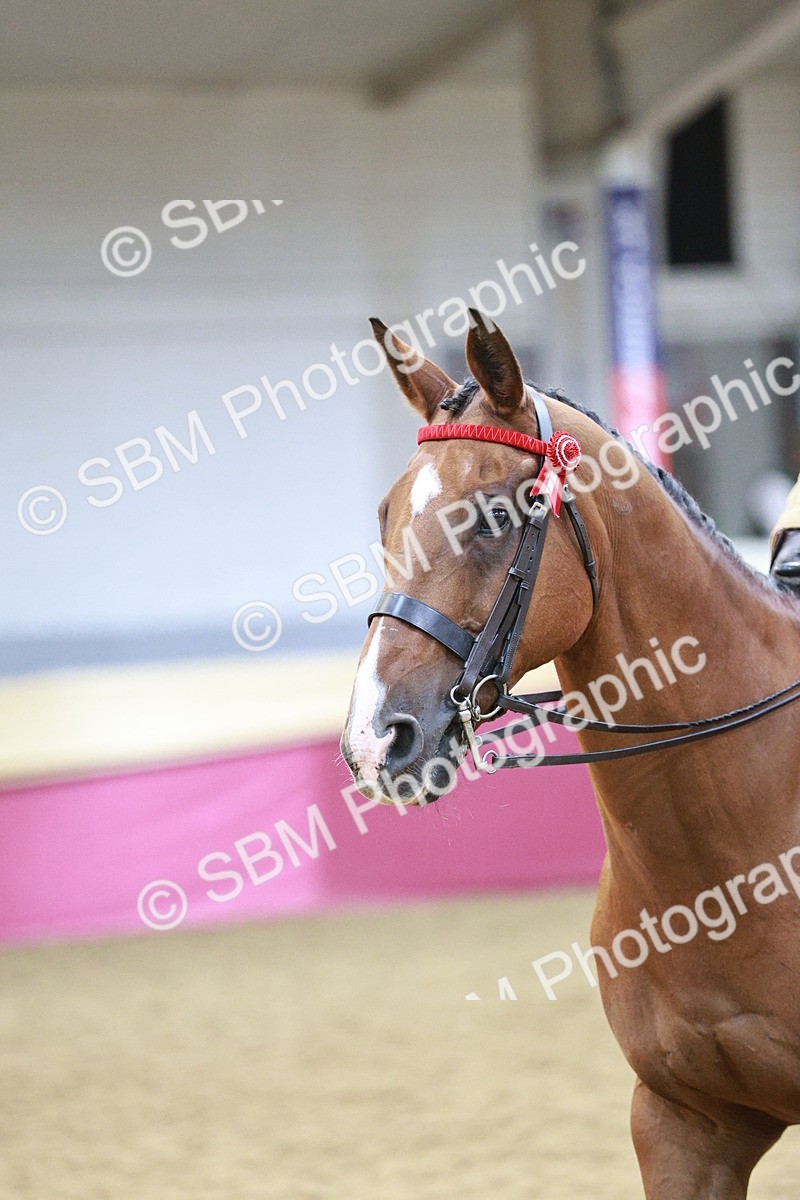 SBM_08179 - Class 11R - Regional Ridden Veteran
