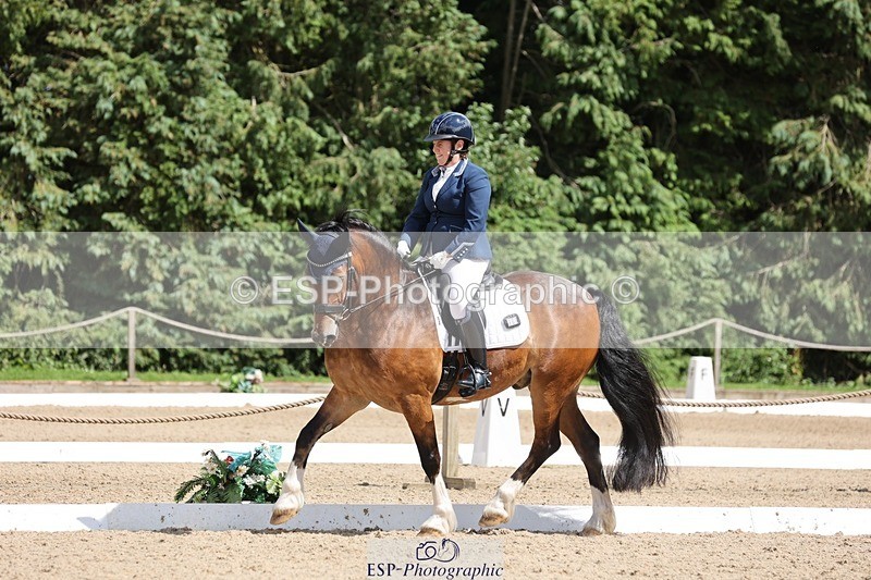 240721-151738-09679 - 300-Alison_Crimp-Crwys_Beau