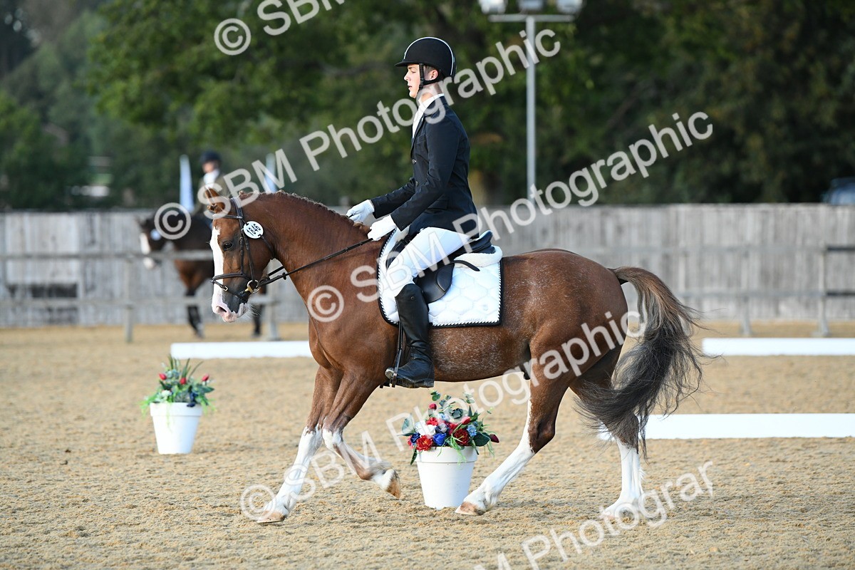 SBM_30995 - D16 - Small Tour Championship - Novice 28
