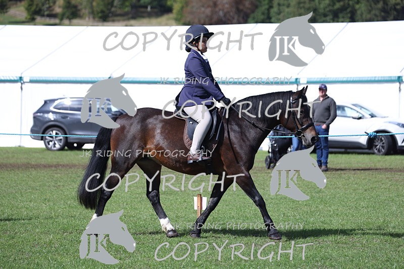 APP_3482 - Class 12 M&M ridden