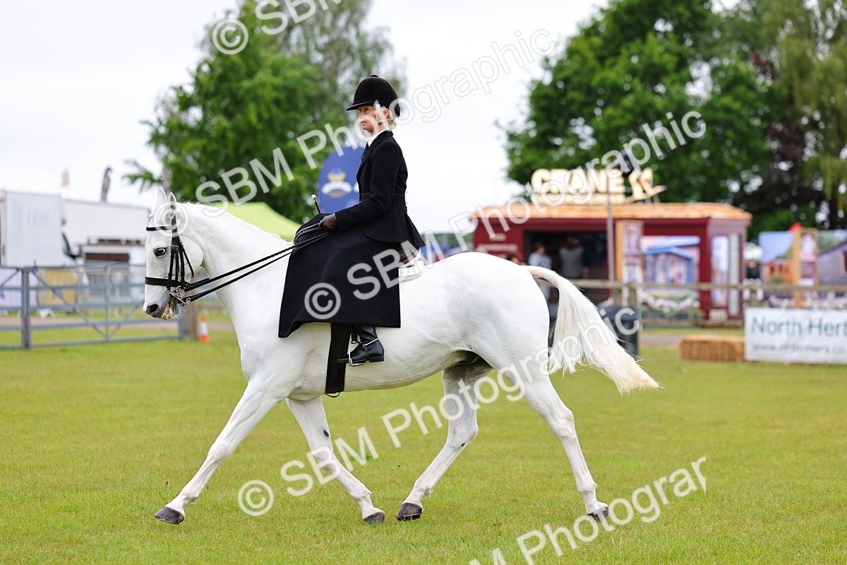 SBM_02733 - Class 9-11 Side Saddle including LIHS Rising Star Ladies Show Horse