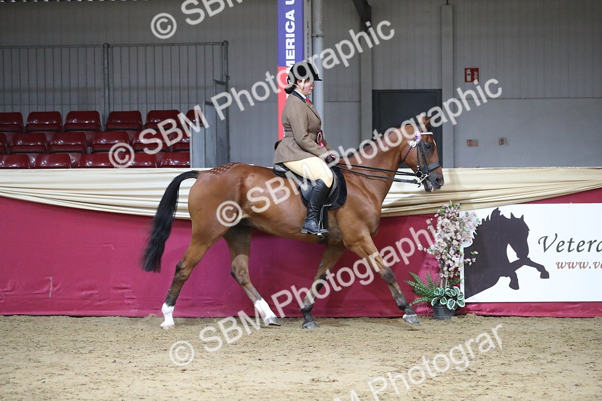 SBM_08504 - Class 11R Regional Ridden Veteran