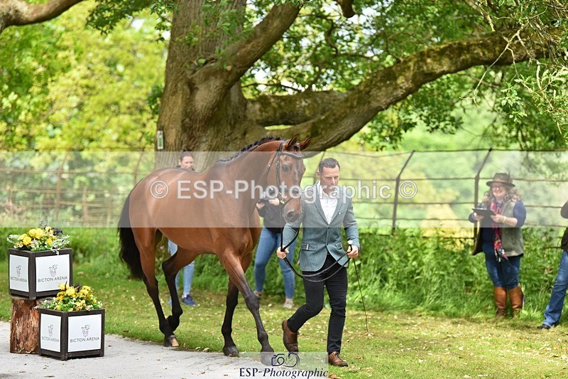 240522-150018-00033 - 301-CAMOUFLAGE-Alexander_Bragg