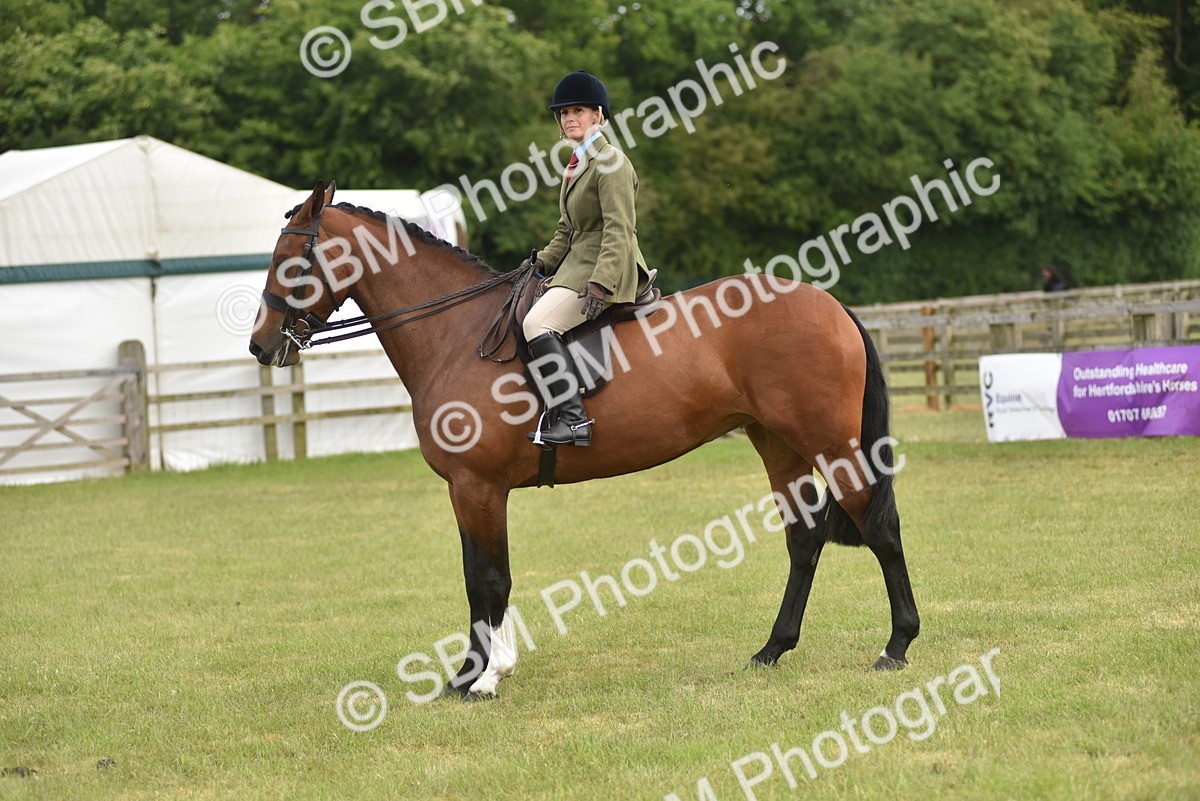SBM_18177 - Class 122-123 - LIHS BHSA Raising Star Style and Performance Series