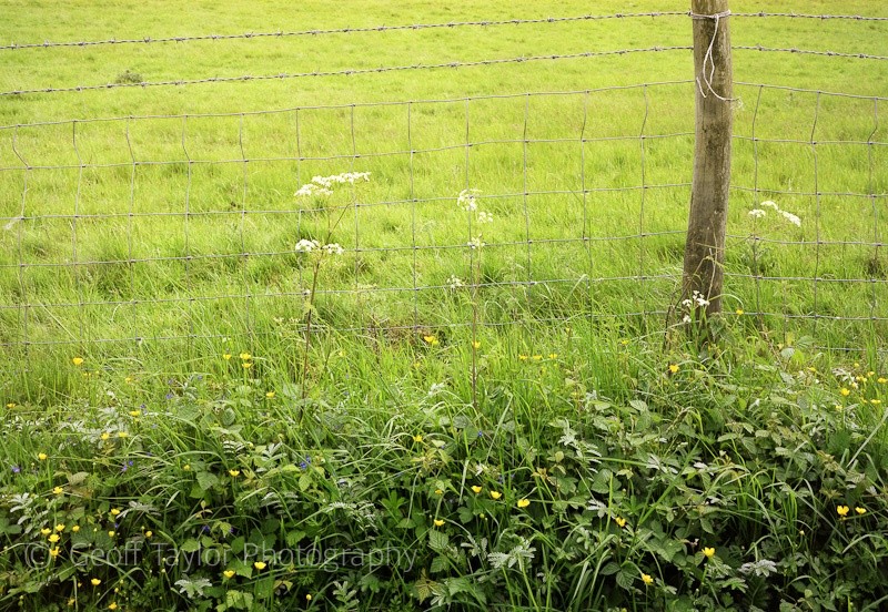 Wormsley fence I - A Rural Landscape