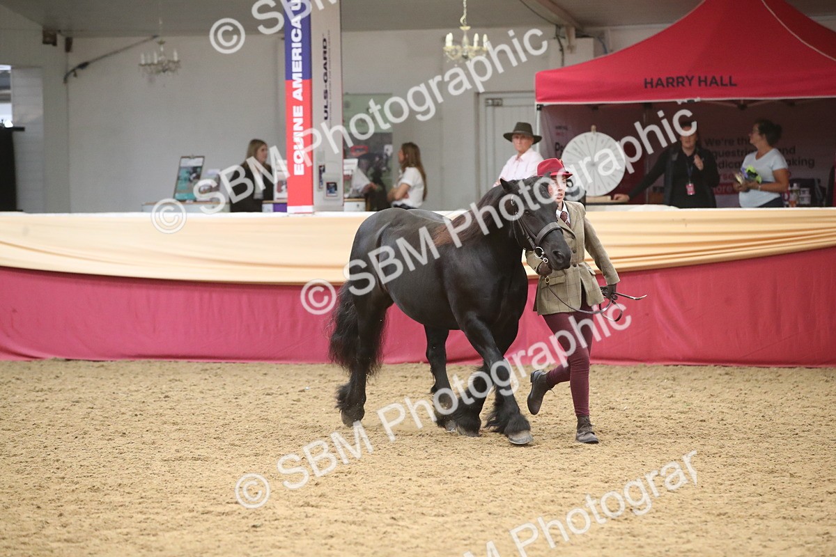 SBM_05697 - Class 9R - Regional IH Pre-Vet