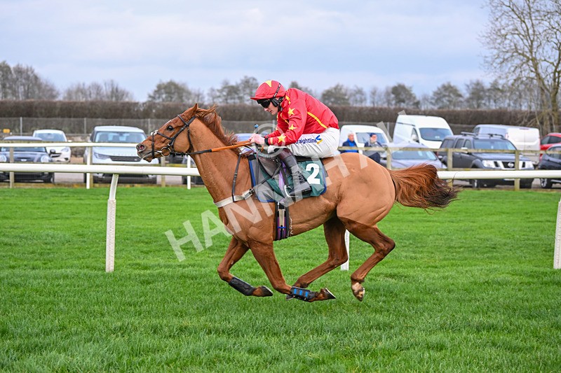 171224-Race 4-Wise Eagle-3331 - Race 4