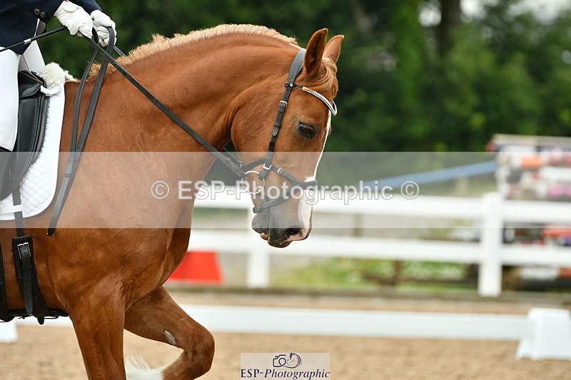 230708A-113134-01104 - Novice 23