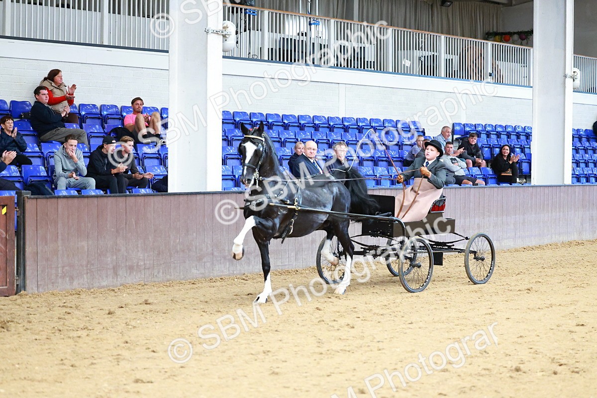 SBM_001023 - Class 13  - HHS Championship Intl Hackney Horse to a Show Wagon