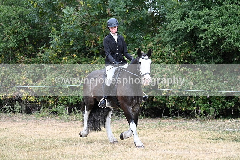 WJ7_0129 - Class 2 Best rider