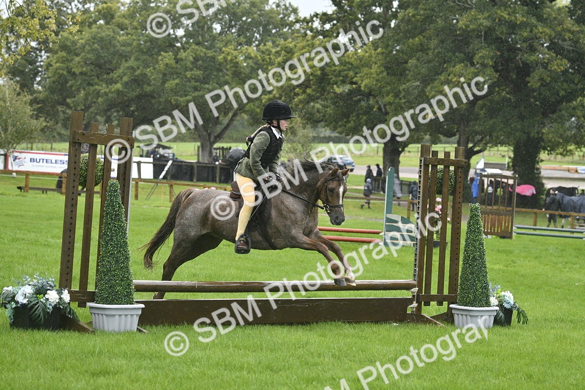 SBM_37139 - S31 - Novice & Newcomer Working Hunter Pony