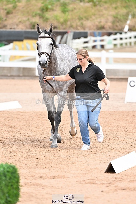 250716-142201-01042 - Trot Up 1.30 to 2.30