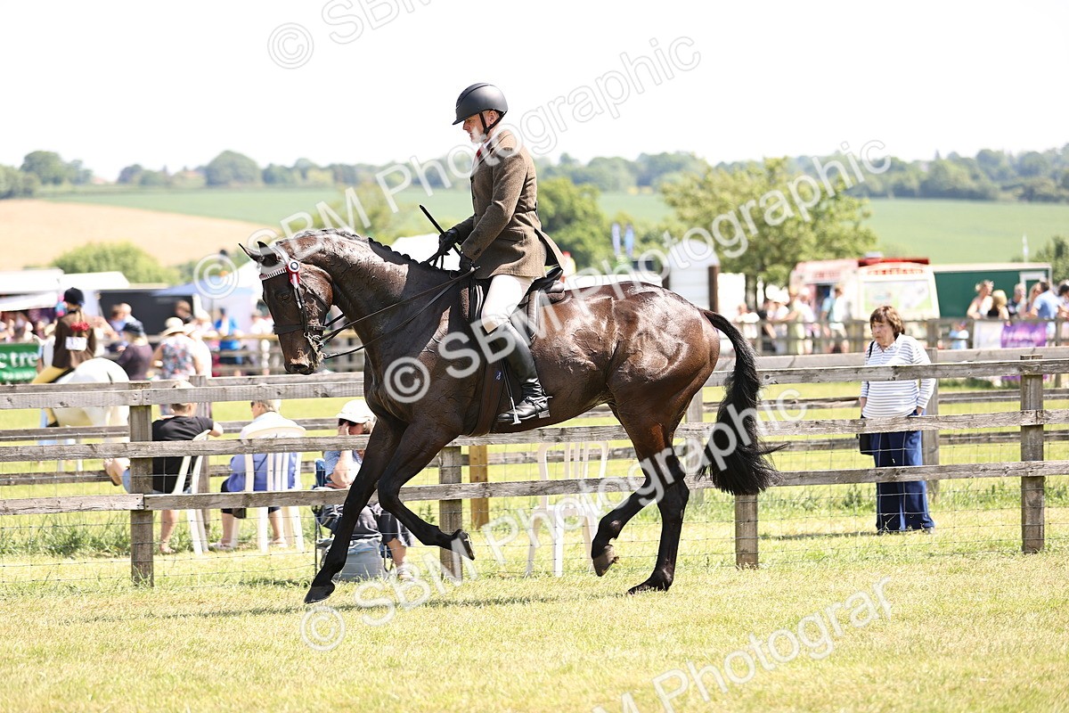 SBM_14888 - Class 78 - LIHS BSHA Open Racehorse & Show Horse
