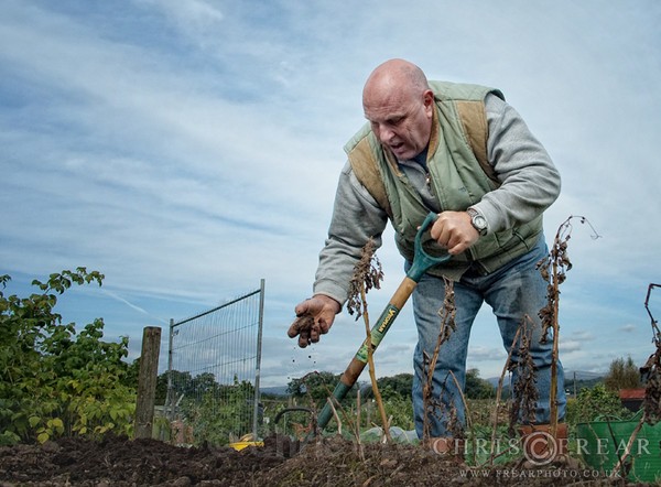 CFB_0055-289-copy - Allotment Faces