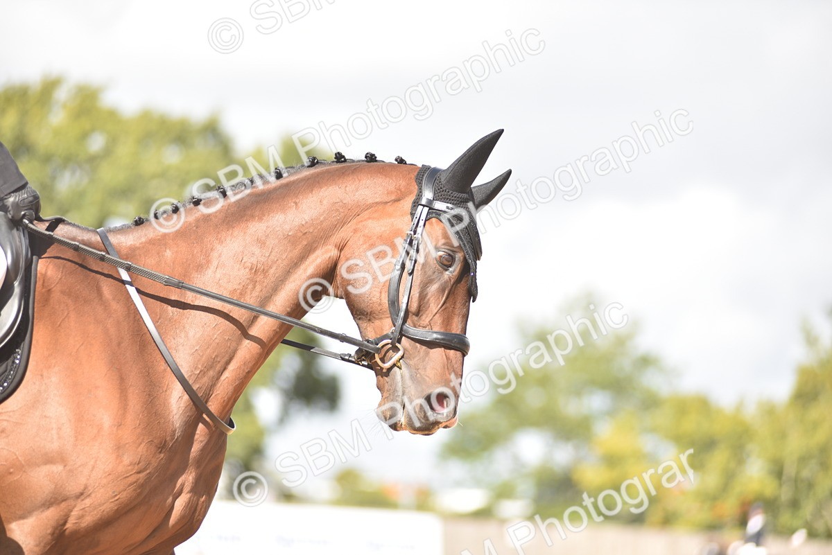 SBM_03164 - D4 - Small Tour Championship Intro 4