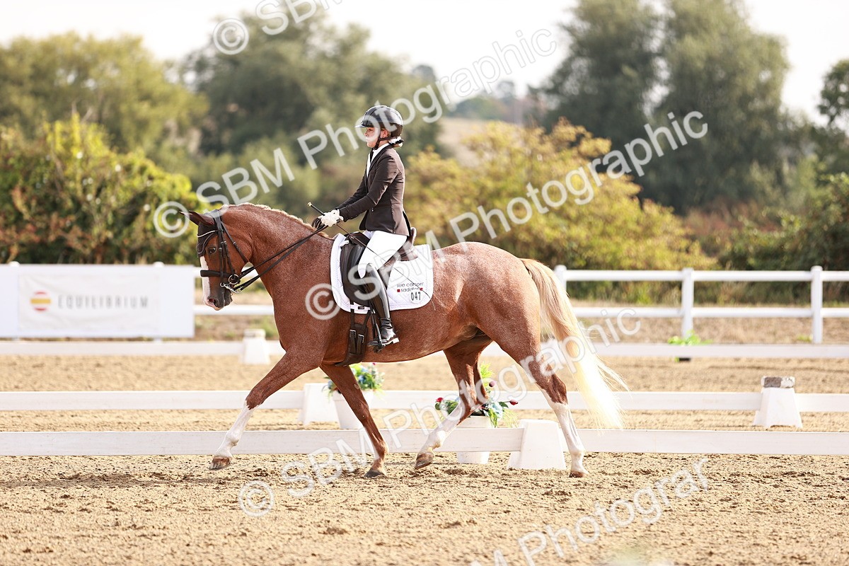 SBM_016867 - Class 10 - Medium 6