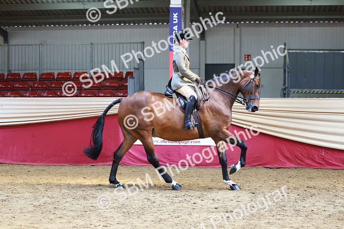 SBM_23920 - Class 905 - Supreme Final - Ridden Veteran
