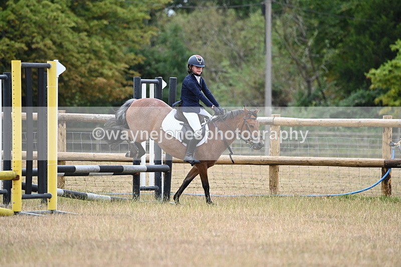 WJ6_0351 - Class 13 Novice Jumping 60cm