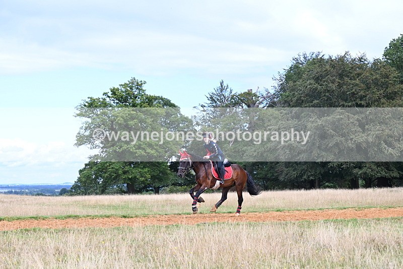 DSC_8908 - Time at Statue 14:33 to 15:10