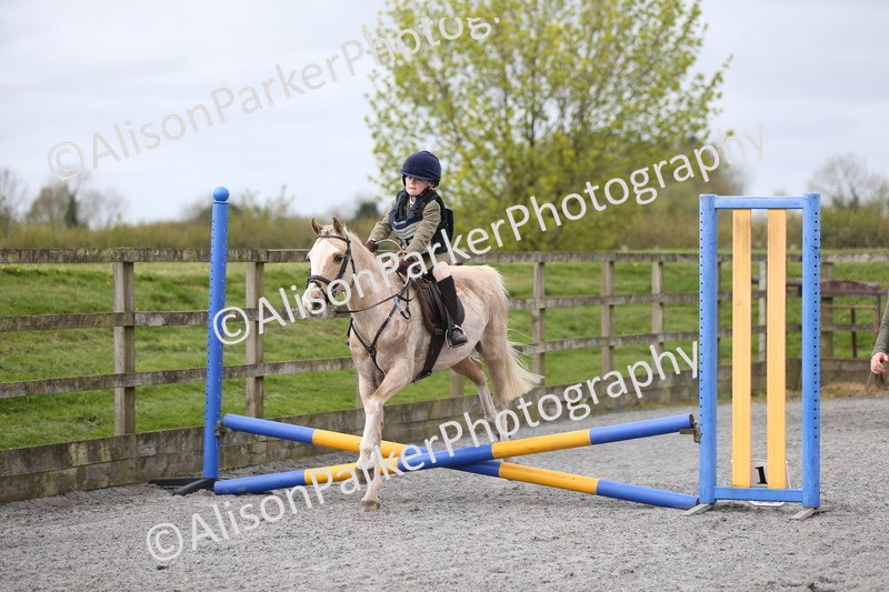 20260412-0135 - Show Jumping