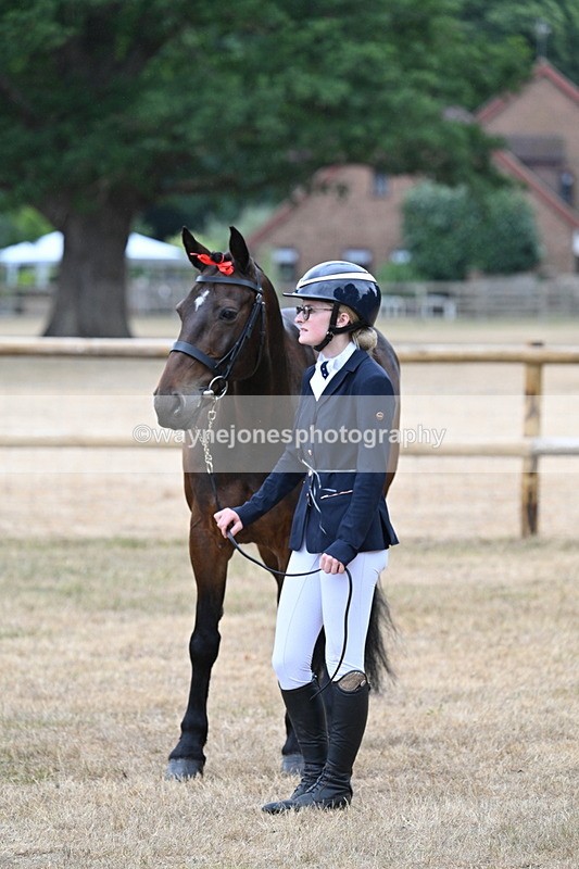 WJ7_9737 - Class 5a Most Handsome Gelding (above 14.2hh)