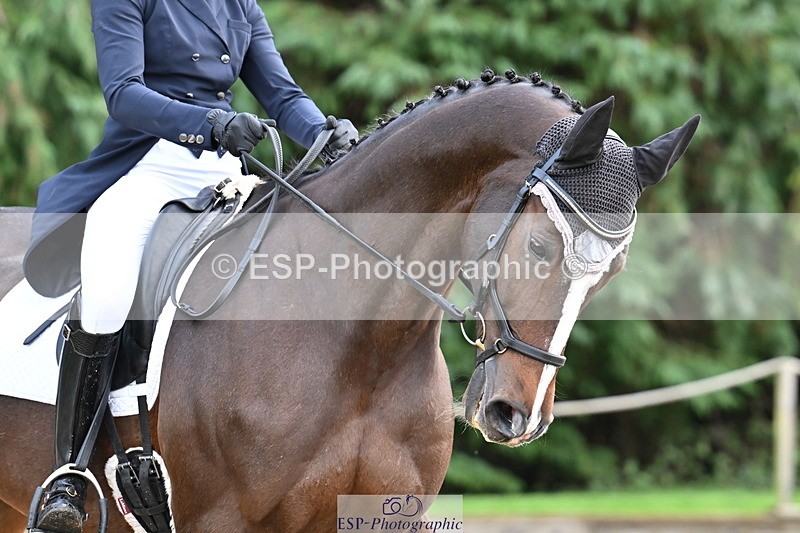 251023A-104843-01083 - C-223-Toots.Bartlett