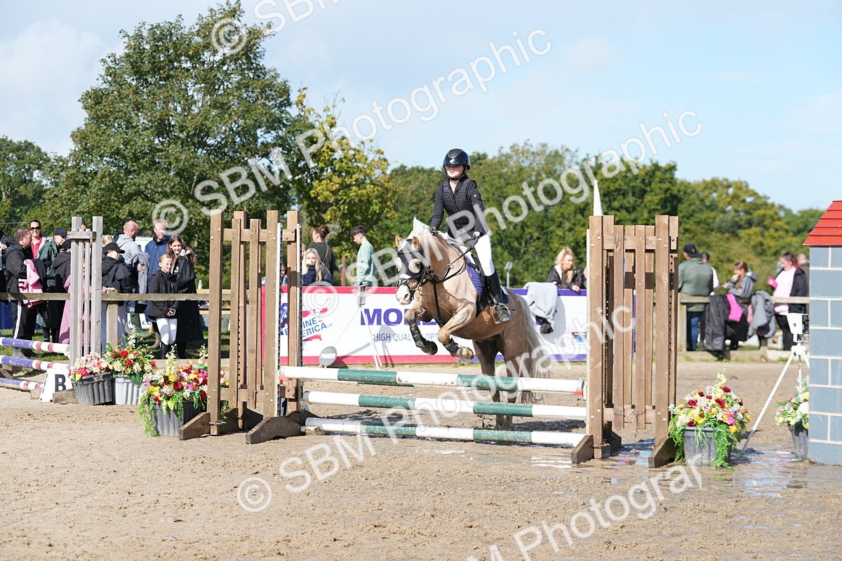 SBM_38497 - J6 - Junior Pony 55cm Championship