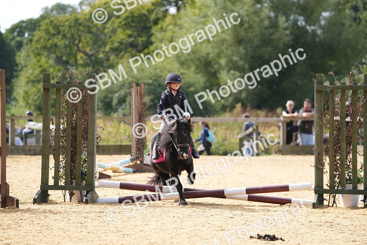 SBM_65767 - J2 - Mini Tour Junior Pony 30cm Championship