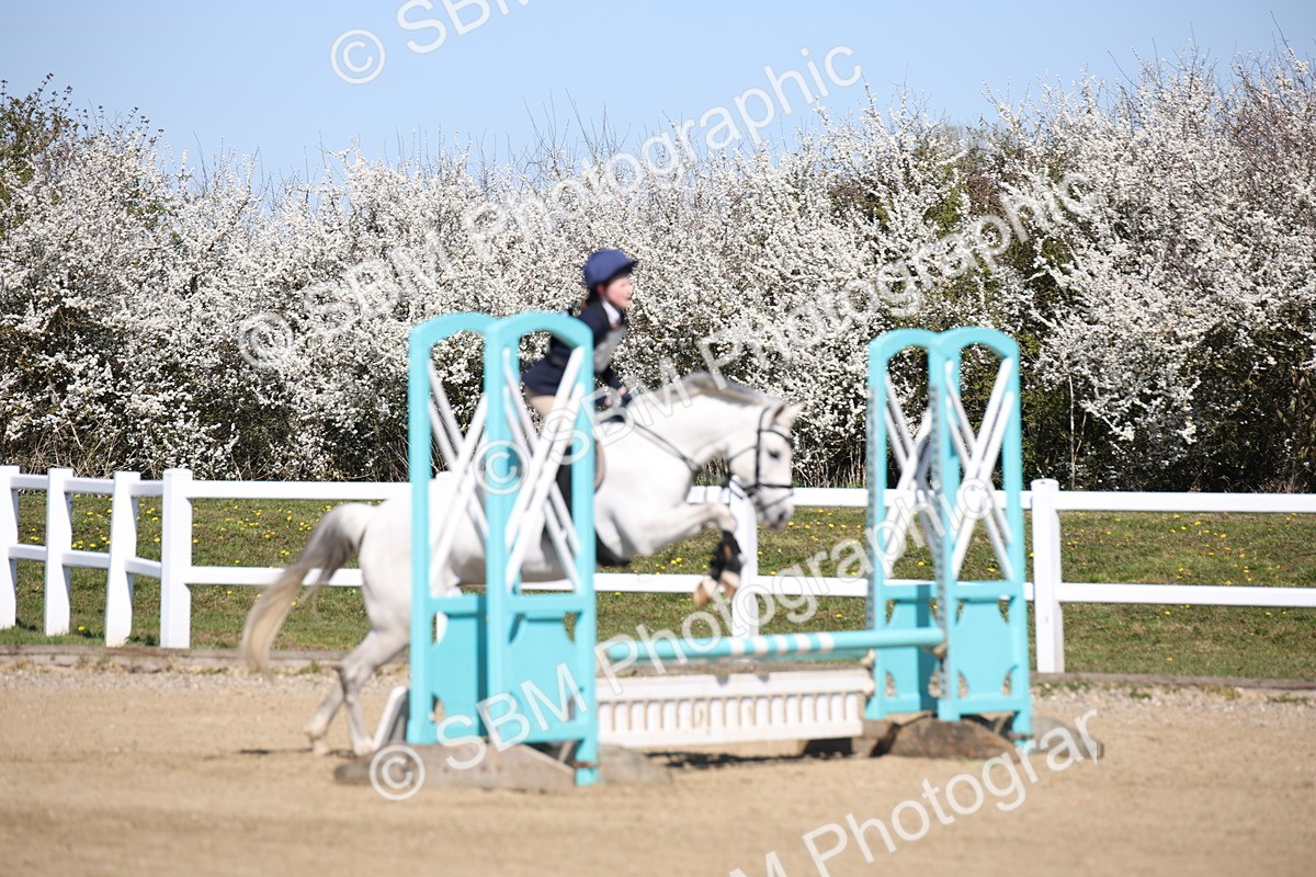 SBM_000895 - Class 3 - 60cm