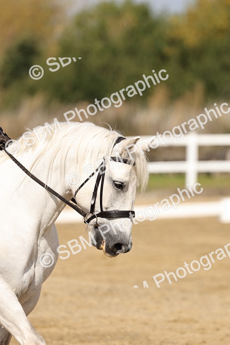 SBM_017533 - Class 12-14 - Intro 2-Prelim 5